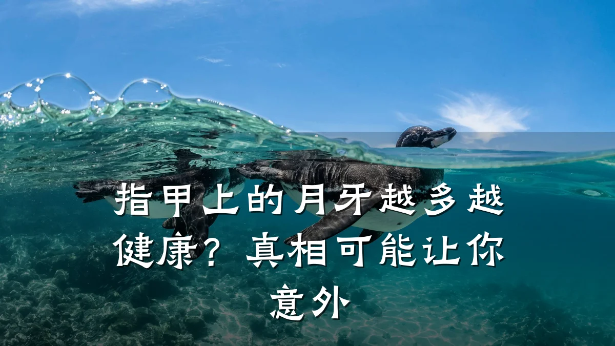 指甲上的月牙越多越健康?真相可能让你意外