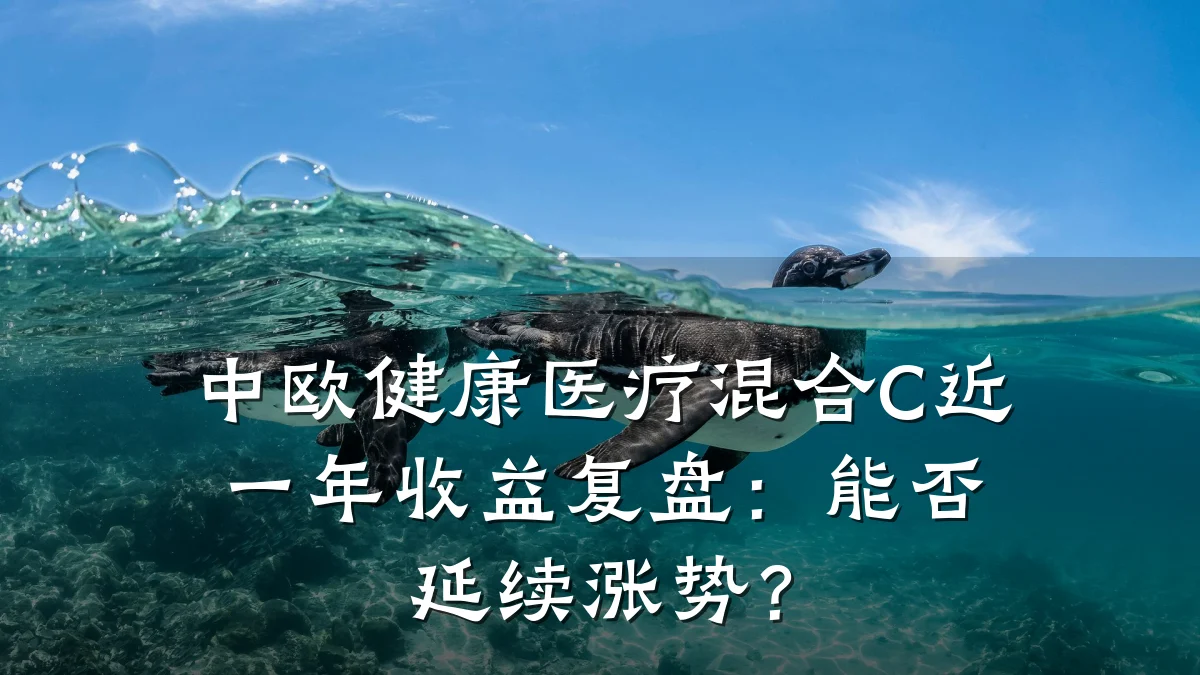 中欧健康医疗混合C近一年收益复盘:能否延续涨势?