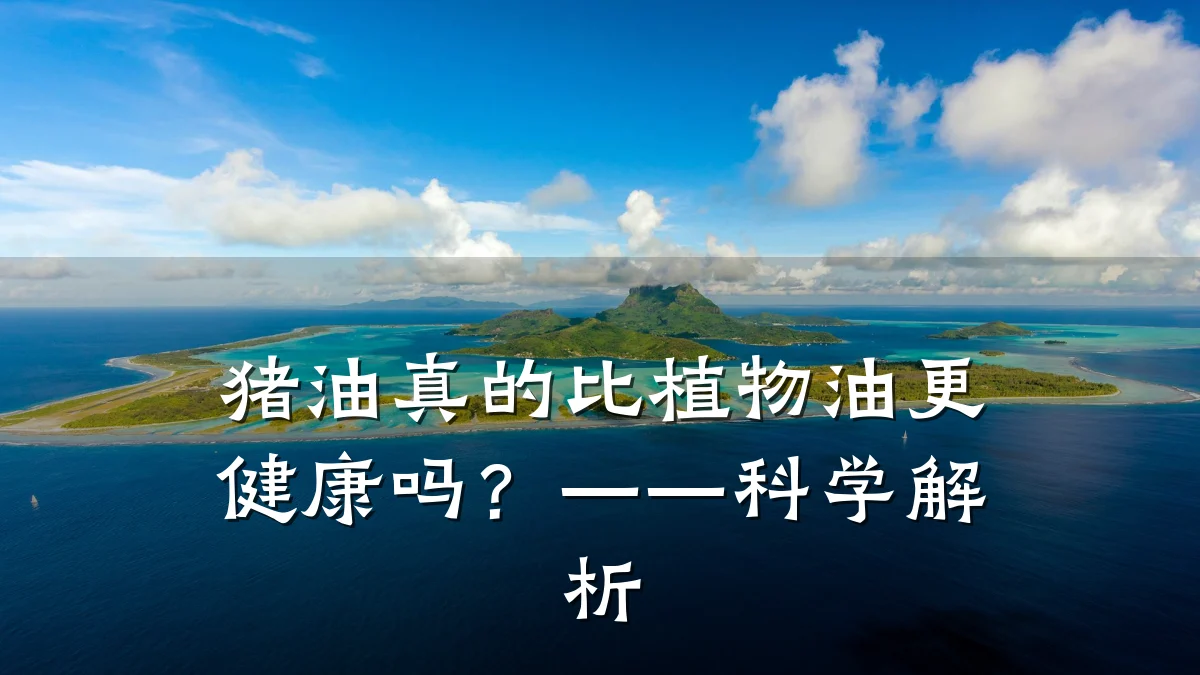 猪油真的比植物油更健康吗?——科学解析