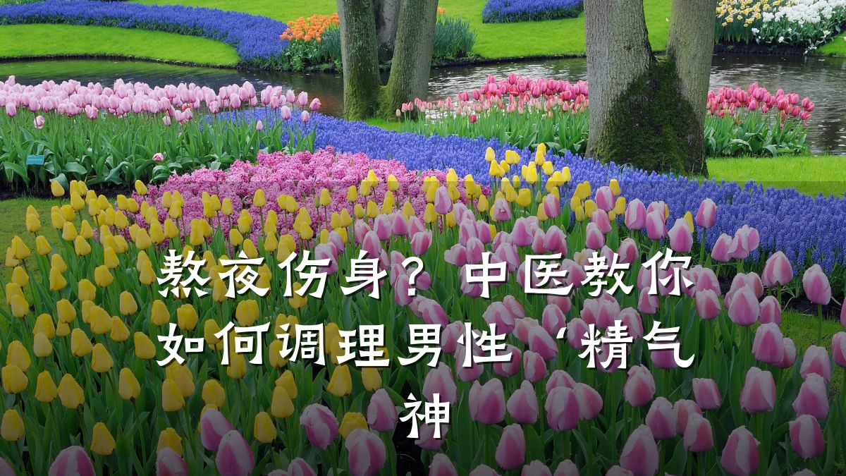 熬夜伤身?中医教你如何调理男性‘精气神