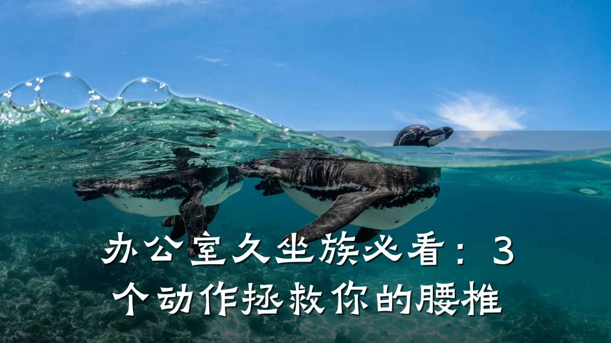 办公室久坐族必看:3个动作拯救你的腰椎