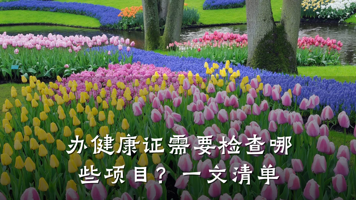 办健康证需要检查哪些项目?一文清单