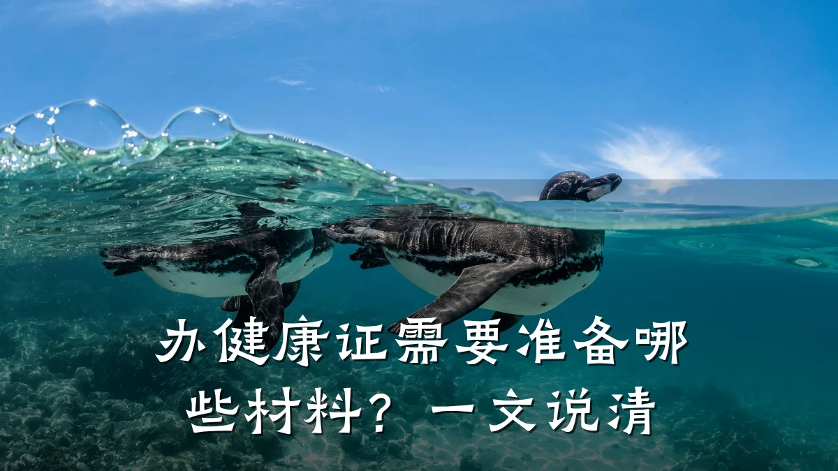 办健康证需要准备哪些材料?一文说清
