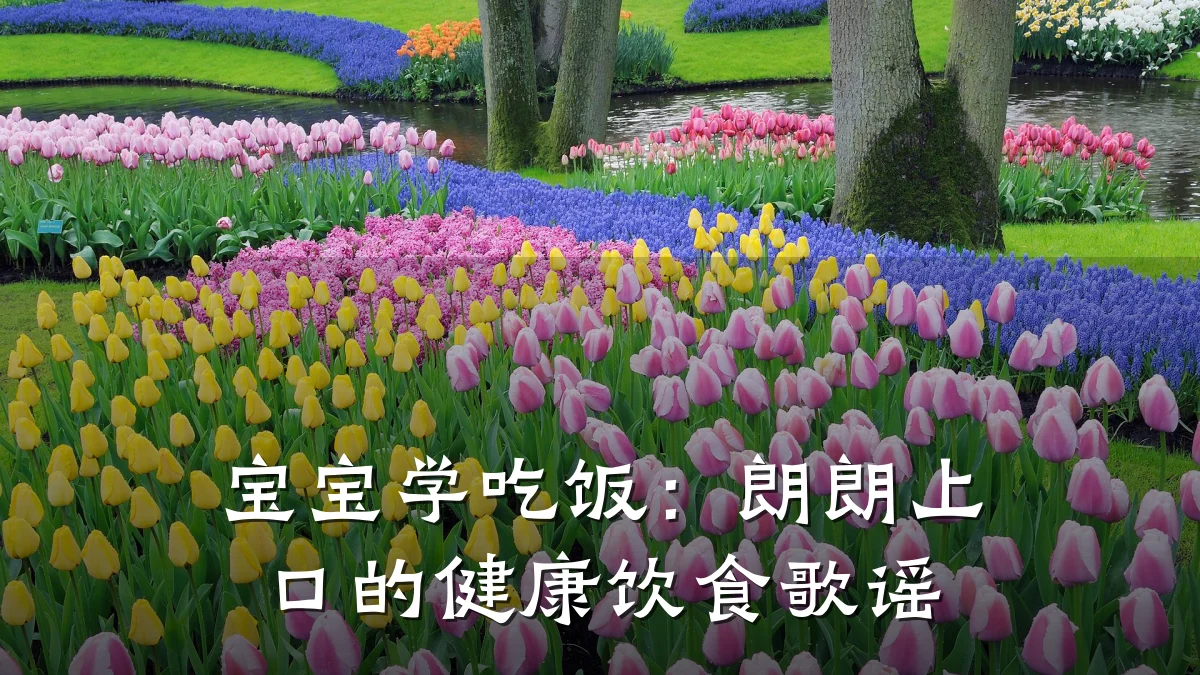 宝宝学吃饭:朗朗上口的健康饮食歌谣