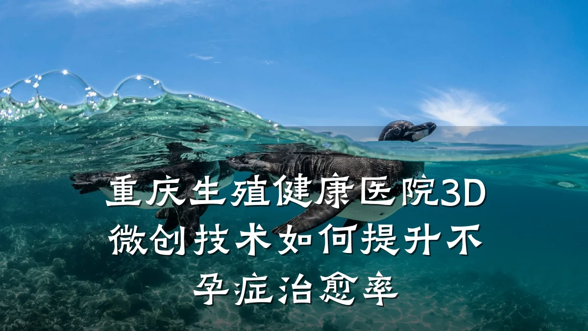重庆生殖健康医院3D微创技术如何提升不孕症治愈率
