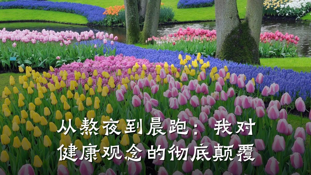从熬夜到晨跑:我对健康观念的彻底颠覆