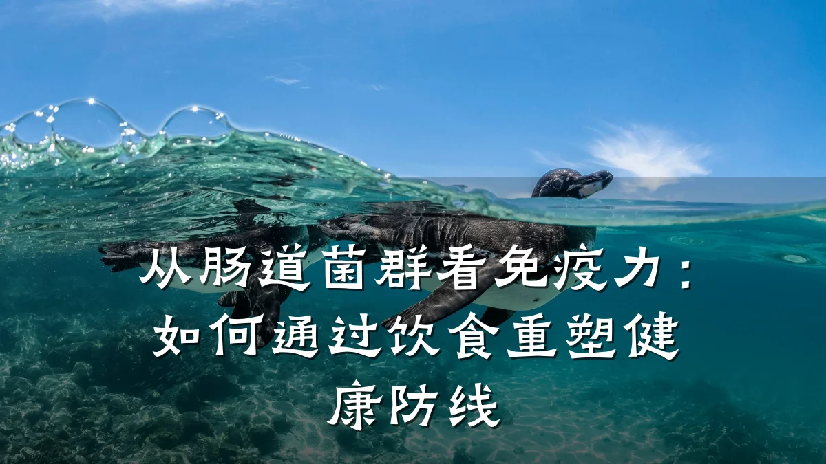 从肠道菌群看免疫力:如何通过饮食重塑健康防线