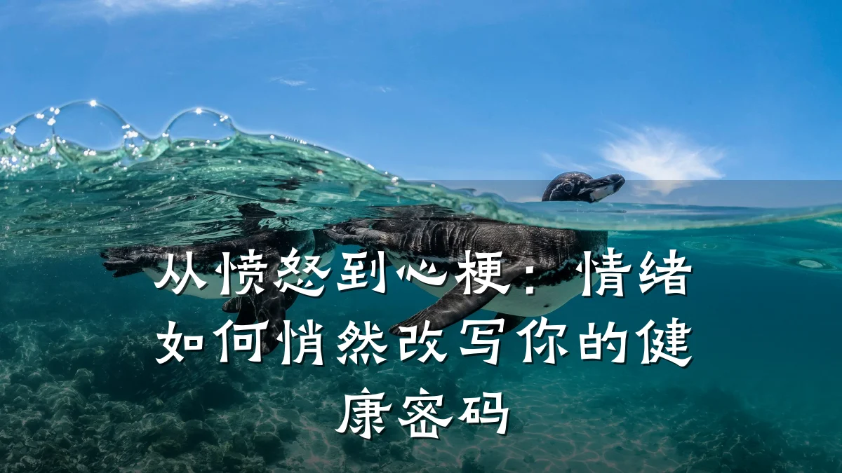 从愤怒到心梗:情绪如何悄然改写你的健康密码