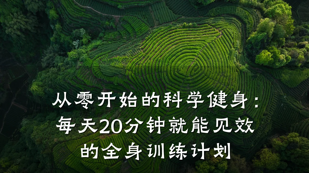 从零开始的科学健身:每天20分钟就能见效的全身训练计划