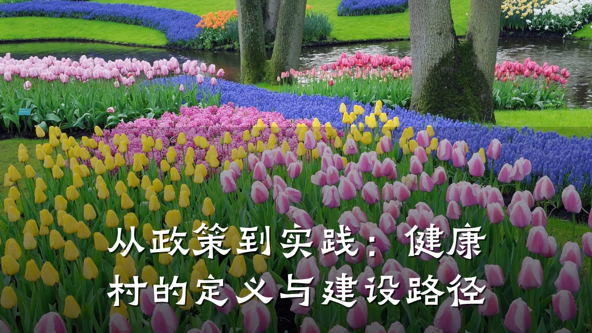 从政策到实践:健康村的定义与建设路径