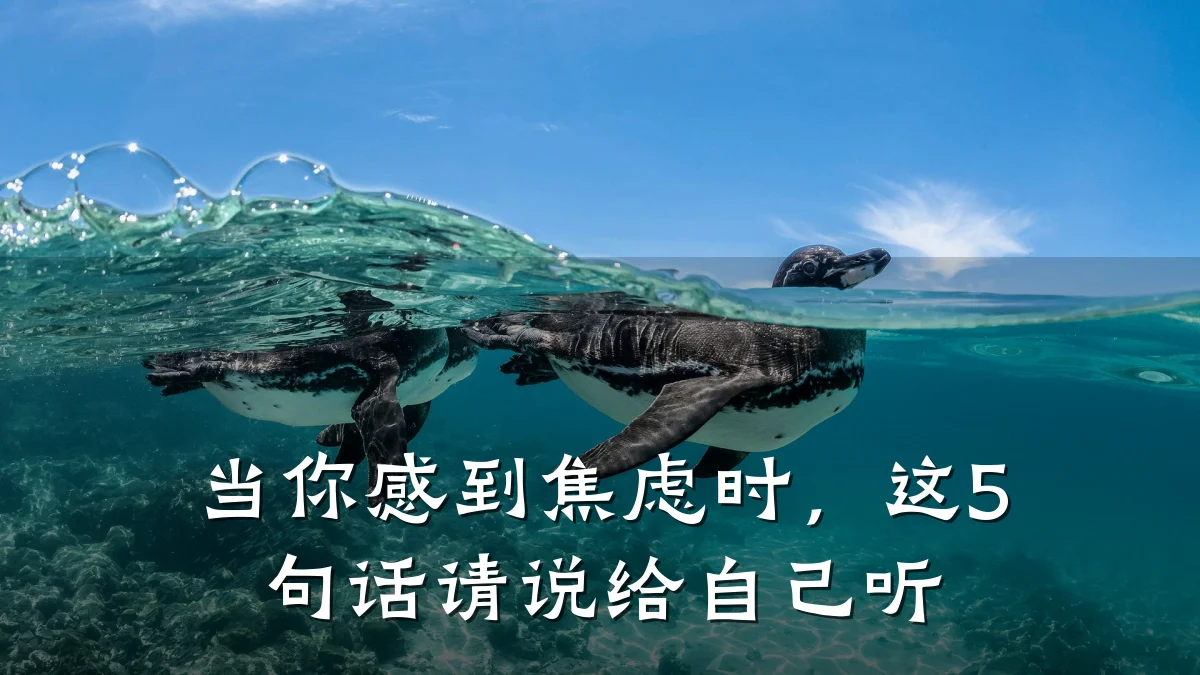 当你感到焦虑时,这5句话请说给自己听
