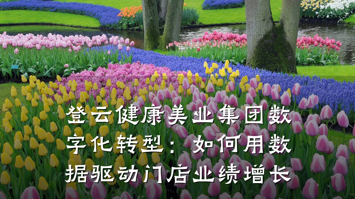 登云健康美业集团数字化转型:如何用数据驱动门店业绩增长