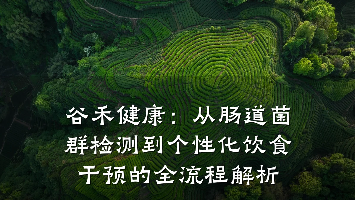 谷禾健康:从肠道菌群检测到个性化饮食干预的全流程解析