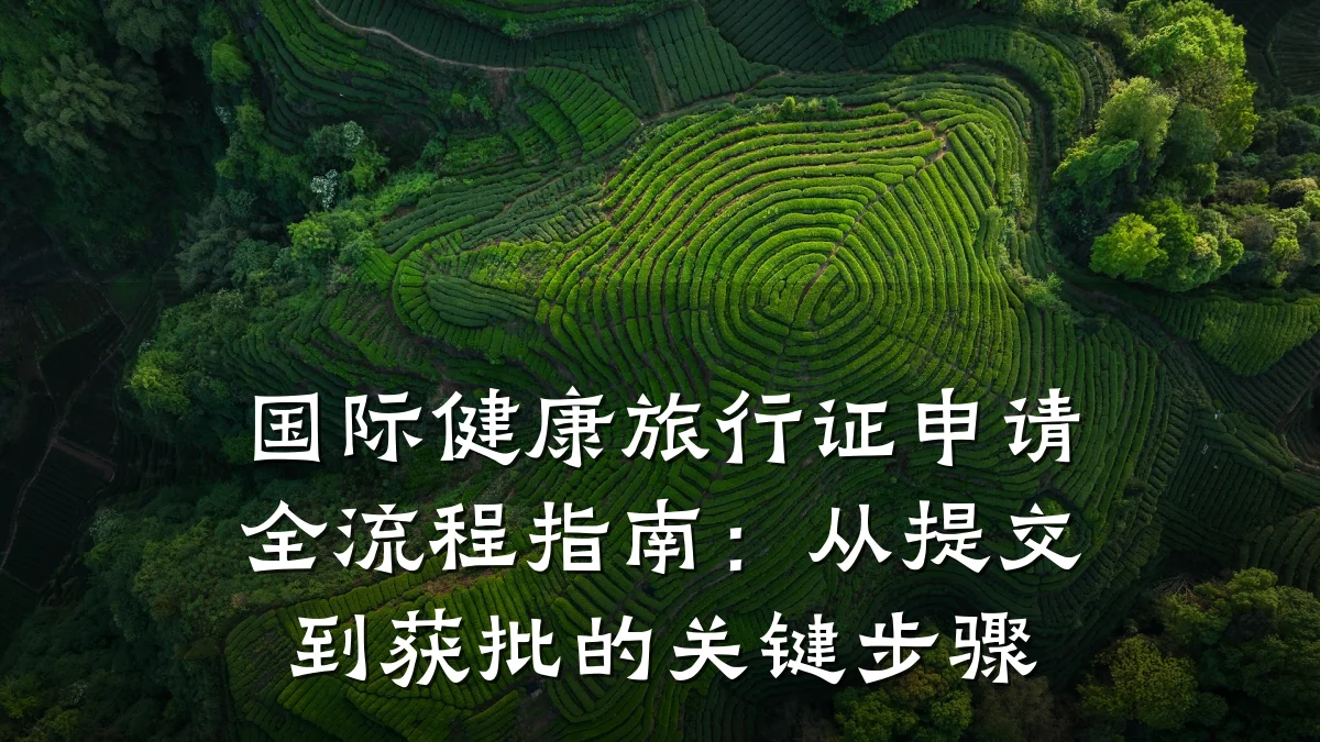 国际健康旅行证申请全流程指南:从提交到获批的关键步骤