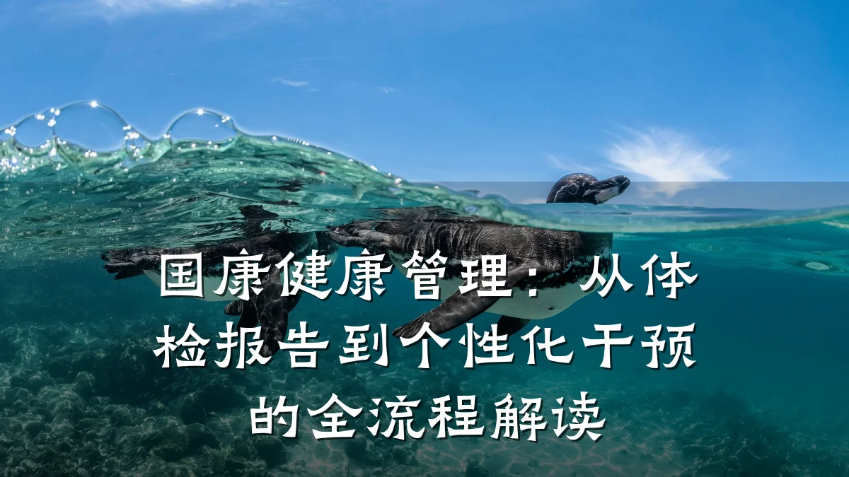 国康健康管理:从体检报告到个性化干预的全流程解读