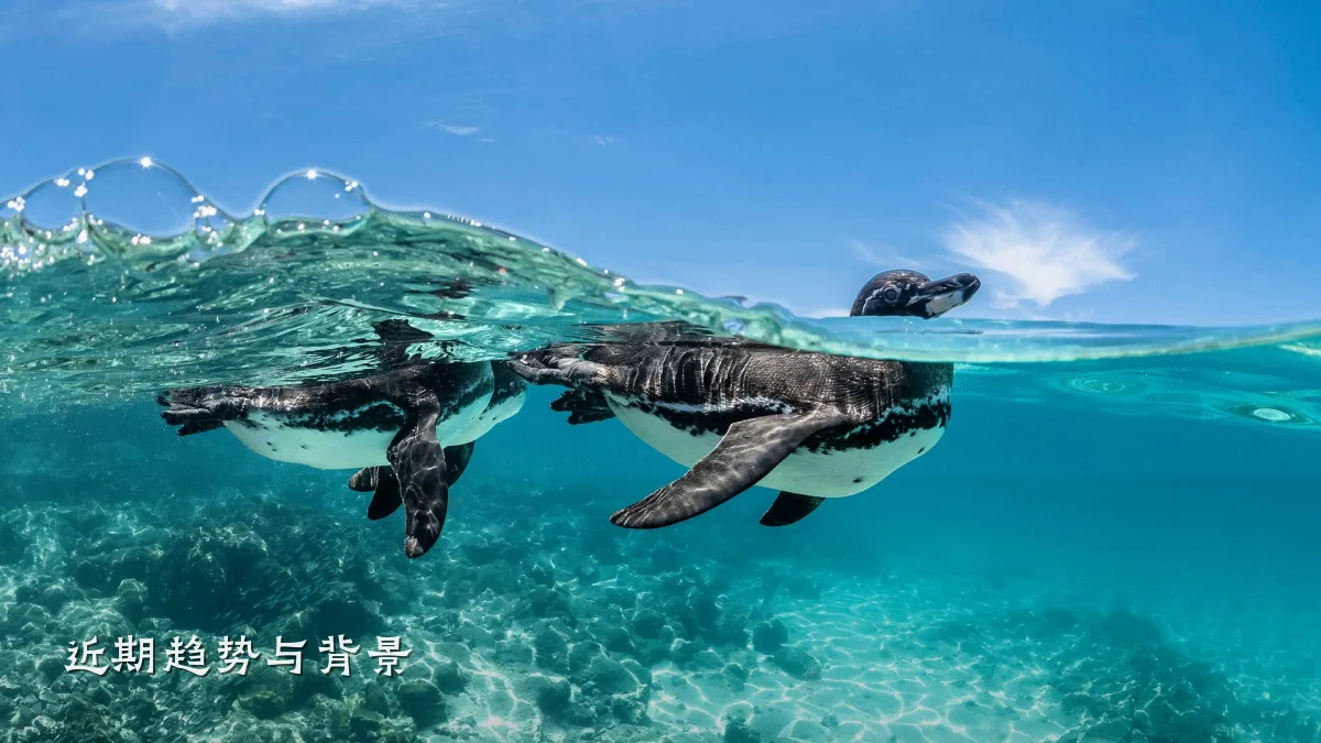 近期趋势与背景