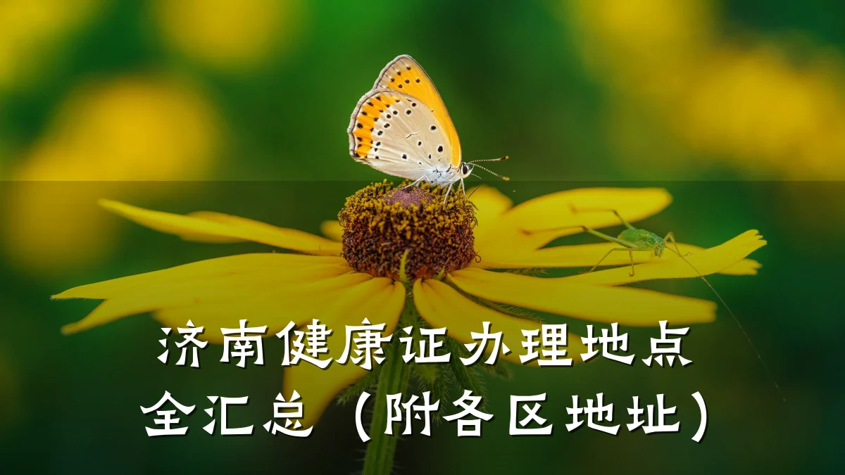 济南健康证办理地点全汇总(附各区地址)