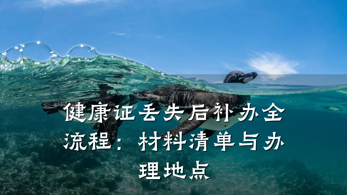 健康证丢失后补办全流程:材料清单与办理地点