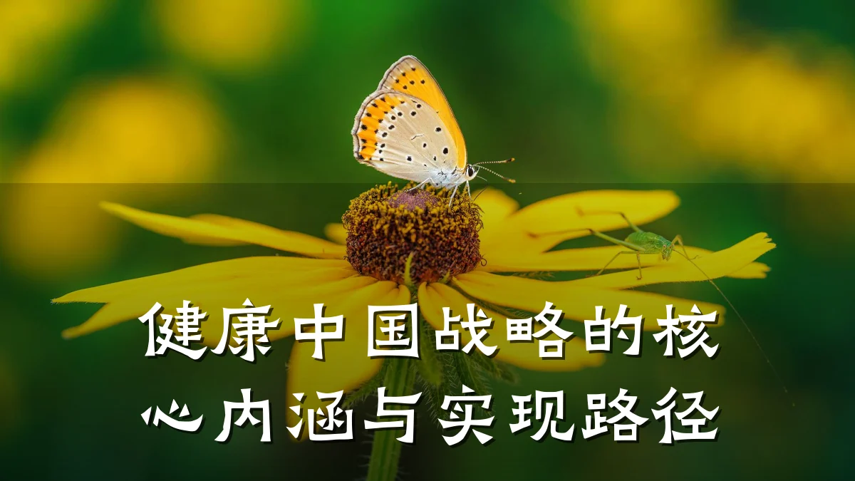 健康中国战略的核心内涵与实现路径