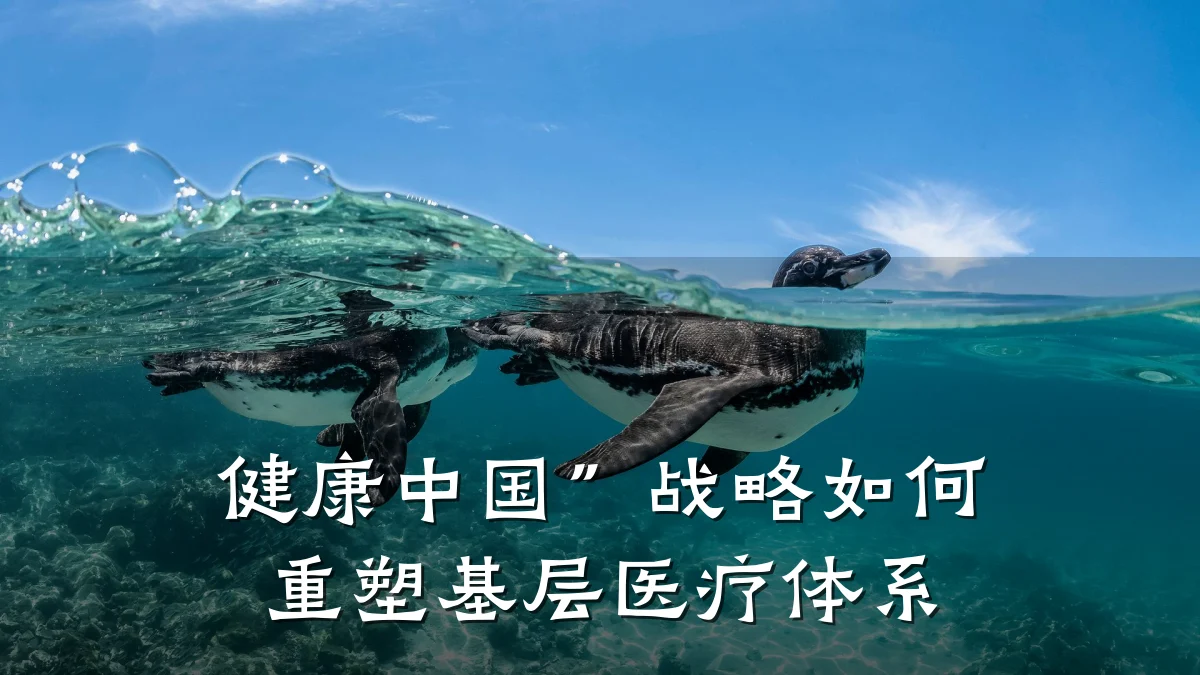 健康中国”战略如何重塑基层医疗体系
