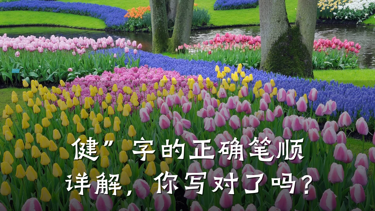 健”字的正确笔顺详解,你写对了吗?