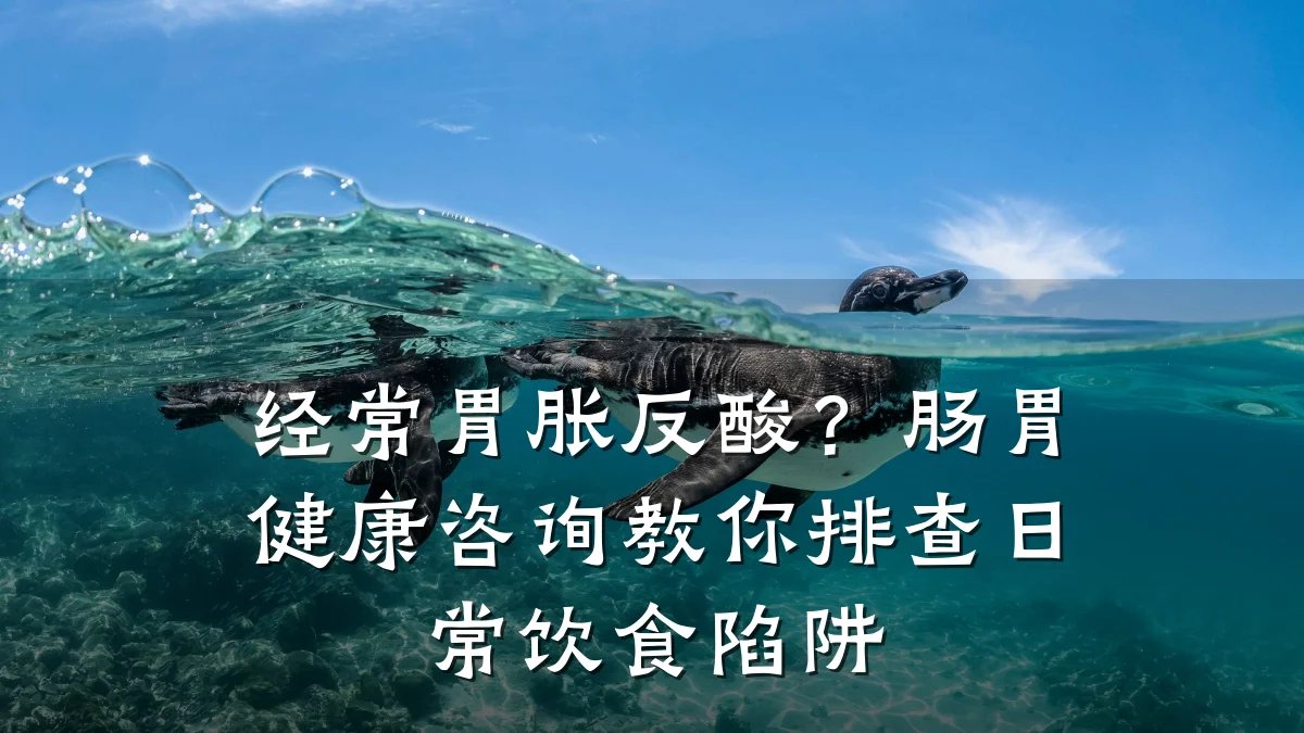 经常胃胀反酸?肠胃健康咨询教你排查日常饮食陷阱