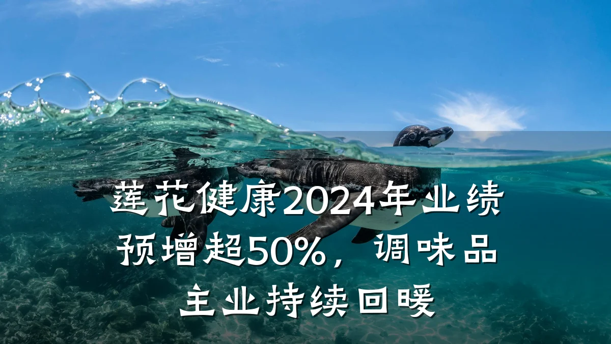 莲花健康2024年业绩预增超50%,调味品主业持续回暖