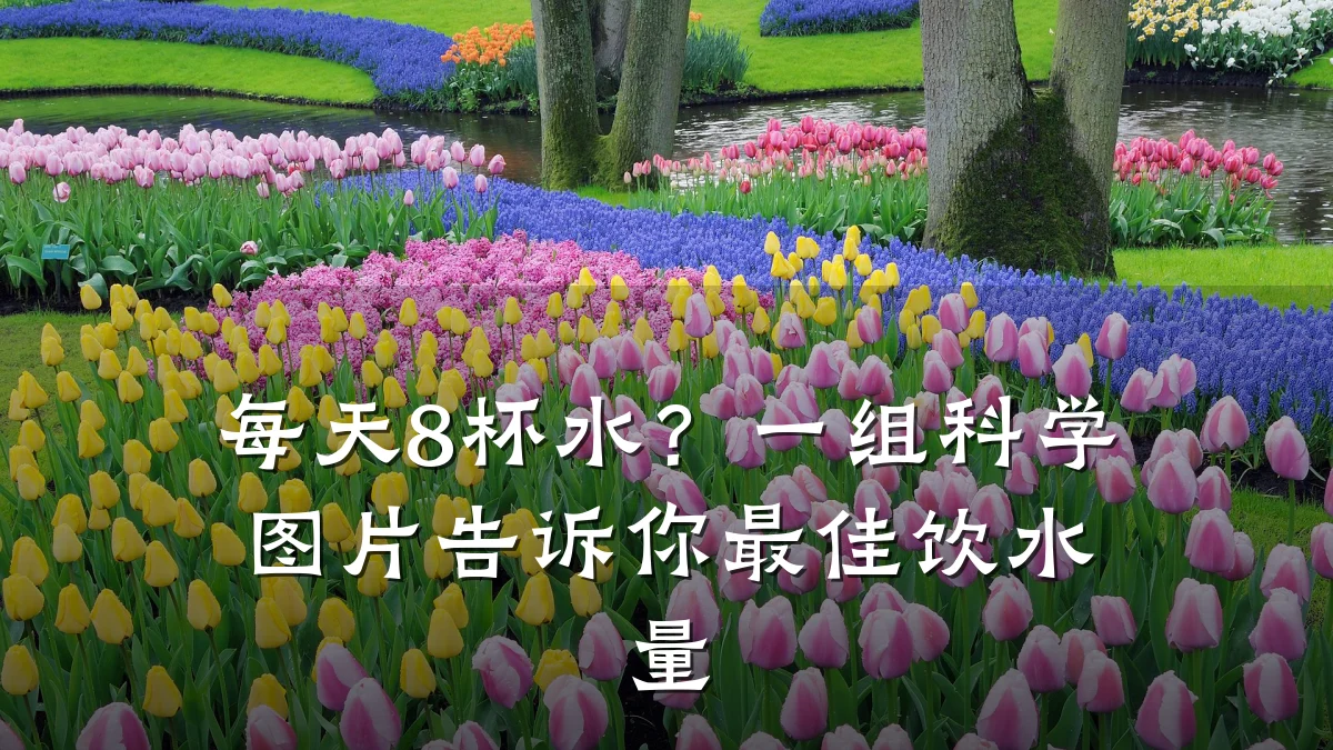 每天8杯水?一组科学图片告诉你最佳饮水量