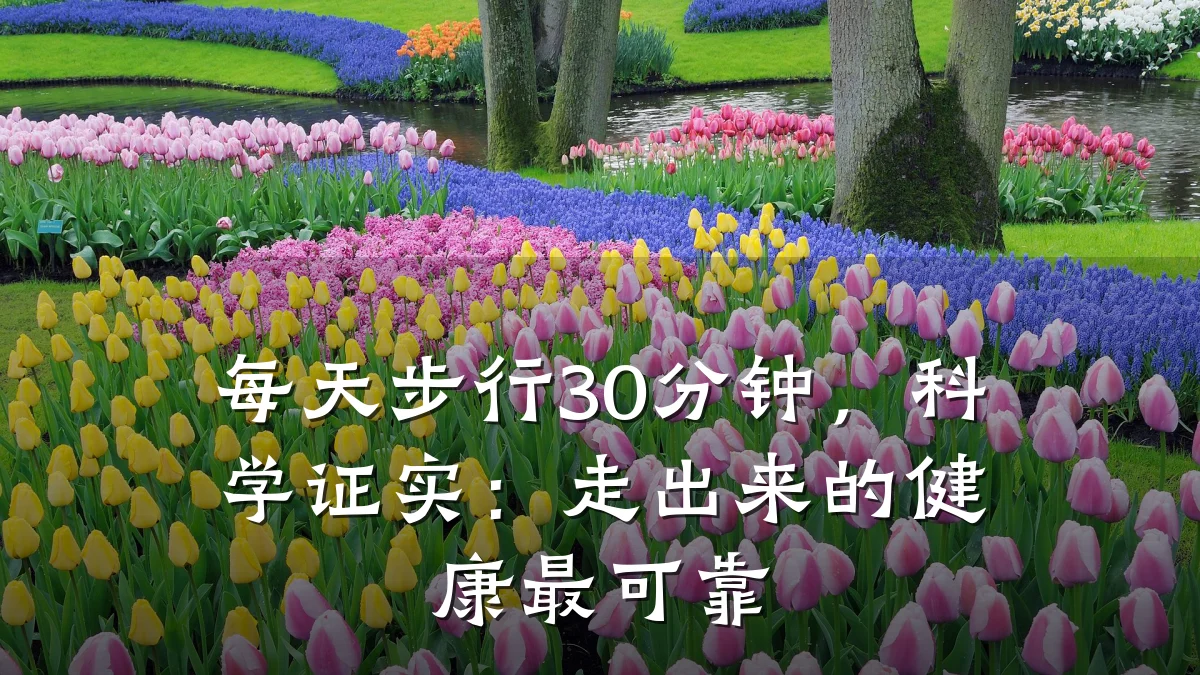 每天步行30分钟,科学证实:走出来的健康最可靠