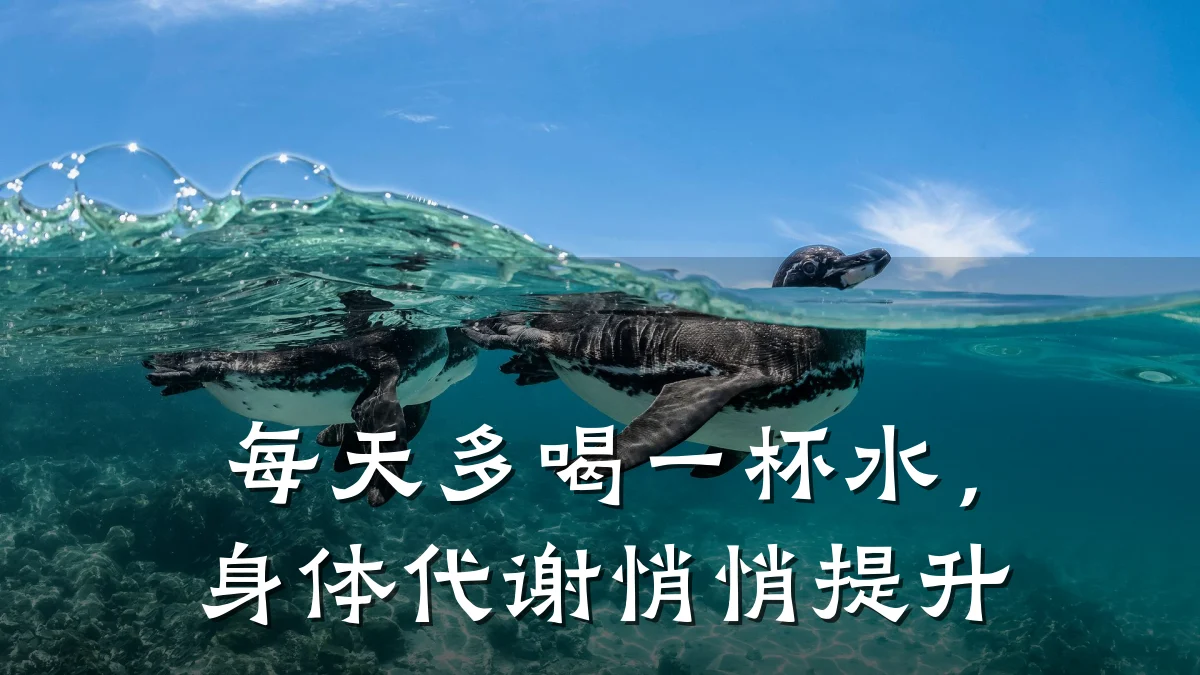每天多喝一杯水,身体代谢悄悄提升
