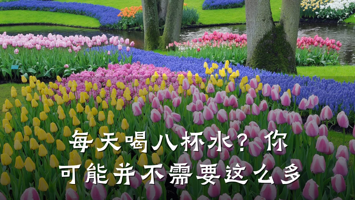 每天喝八杯水?你可能并不需要这么多