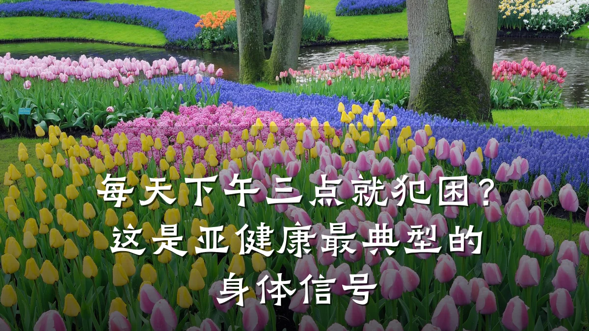 每天下午三点就犯困?这是亚健康最典型的身体信号
