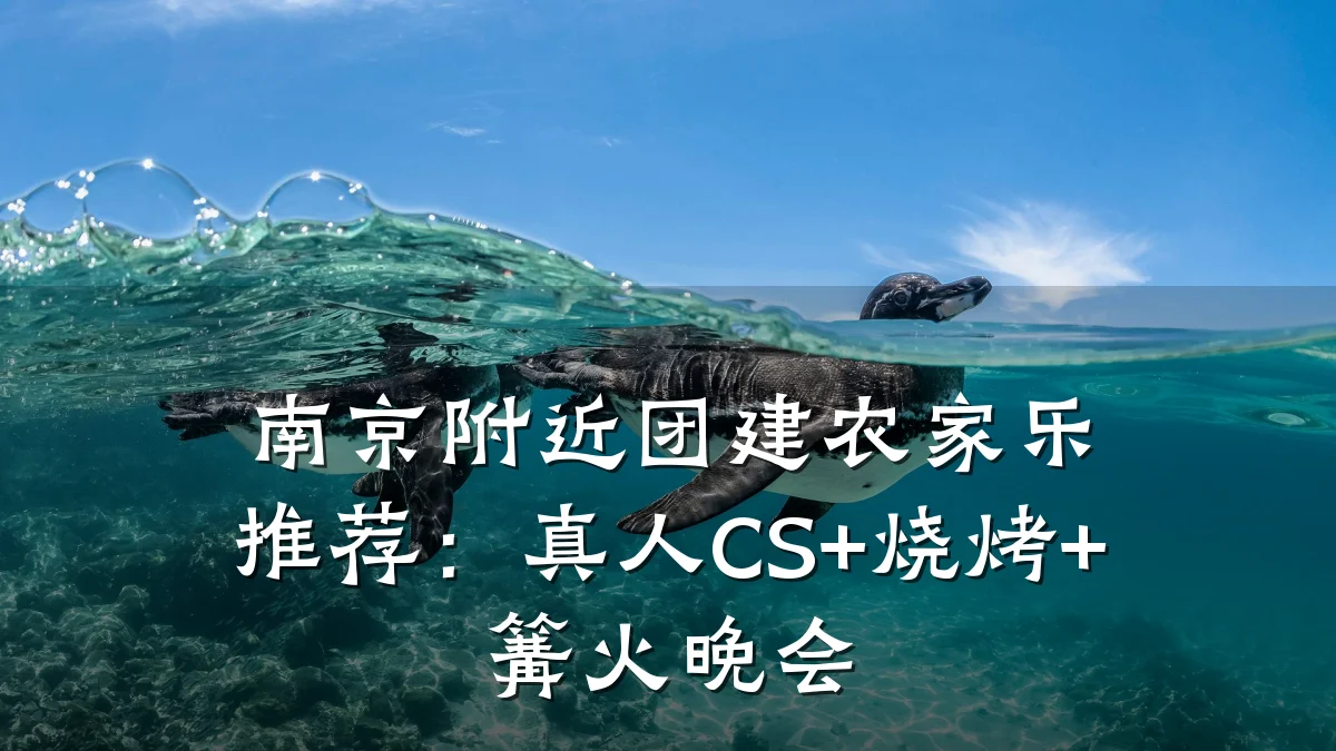 南京附近团建农家乐推荐：真人CS+烧烤+篝火晚会
