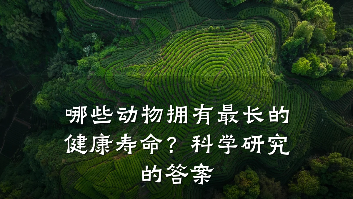 哪些动物拥有最长的健康寿命?科学研究的答案
