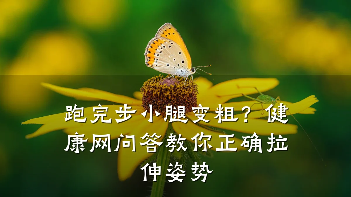 跑完步小腿变粗?健康网问答教你正确拉伸姿势