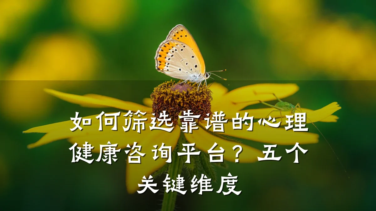 如何筛选靠谱的心理健康咨询平台?五个关键维度