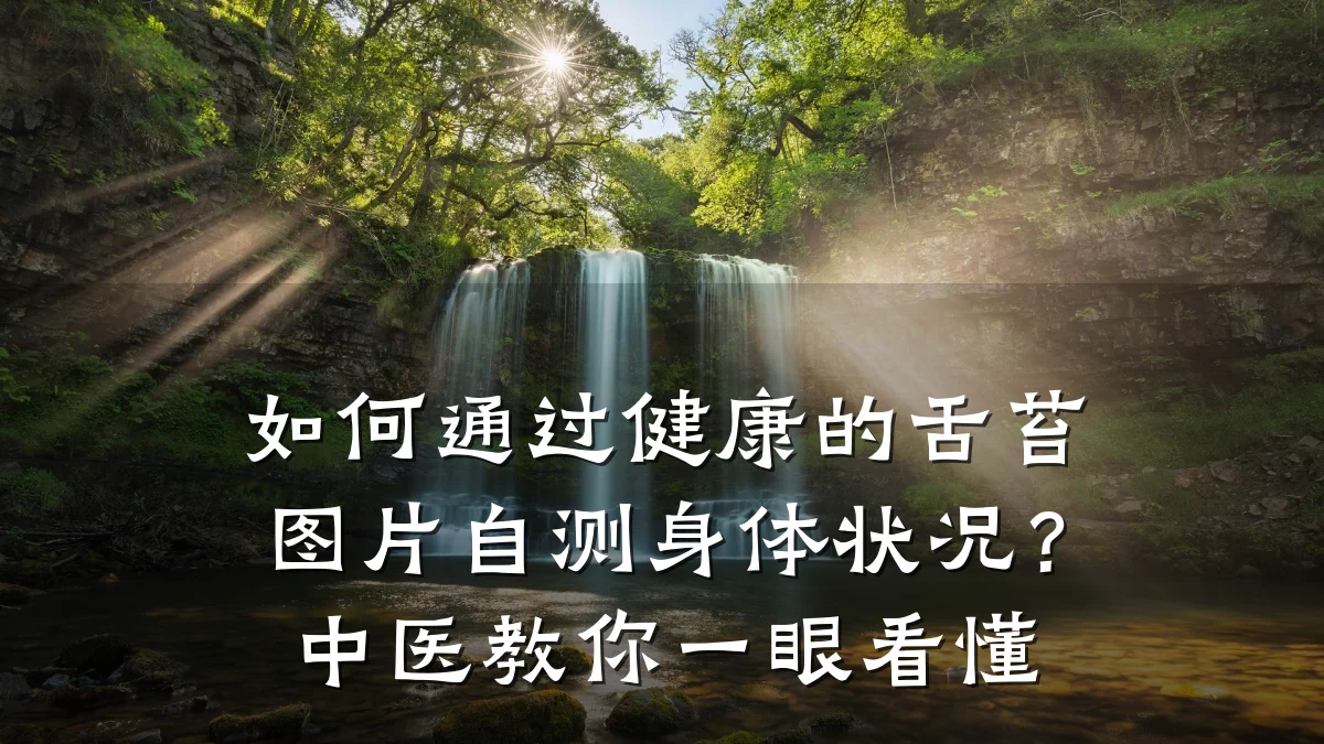 如何通过健康的舌苔图片自测身体状况?中医教你一眼看懂