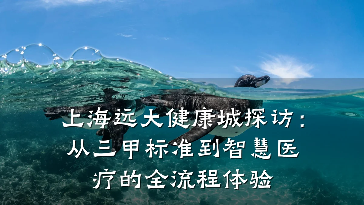 上海远大健康城探访:从三甲标准到智慧医疗的全流程体验