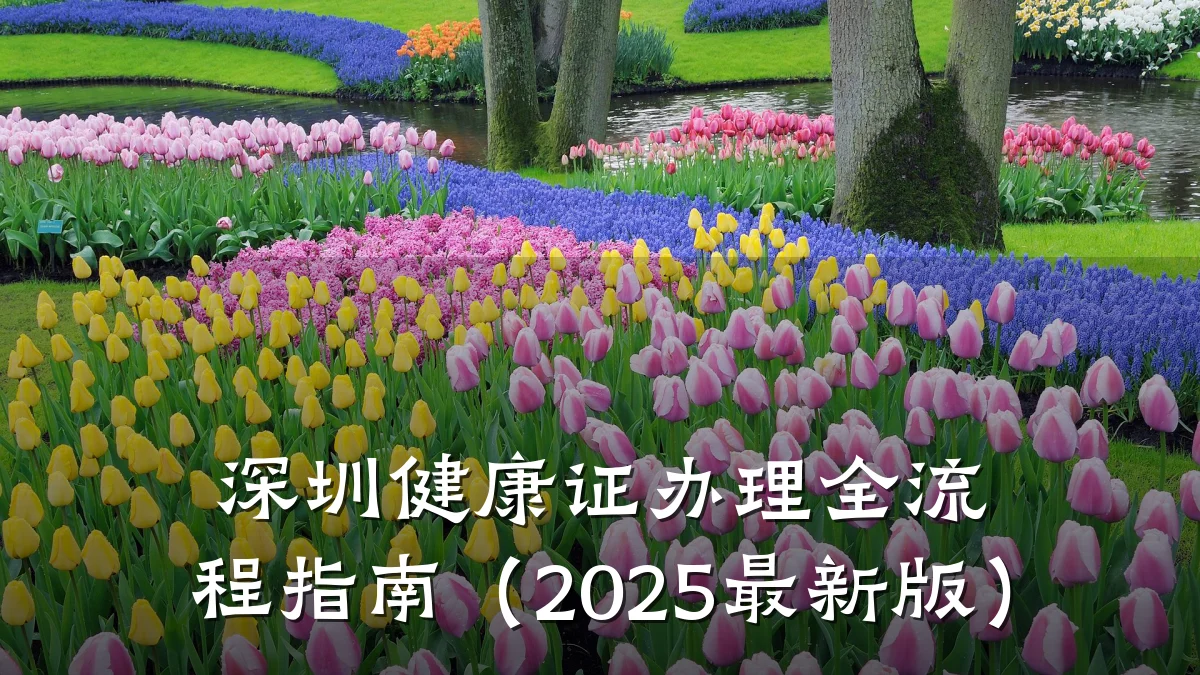 深圳健康证办理全流程指南(2025最新版)