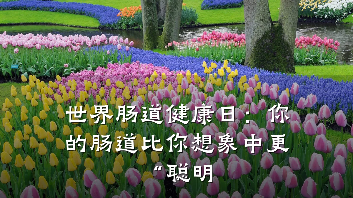 世界肠道健康日:你的肠道比你想象中更“聪明