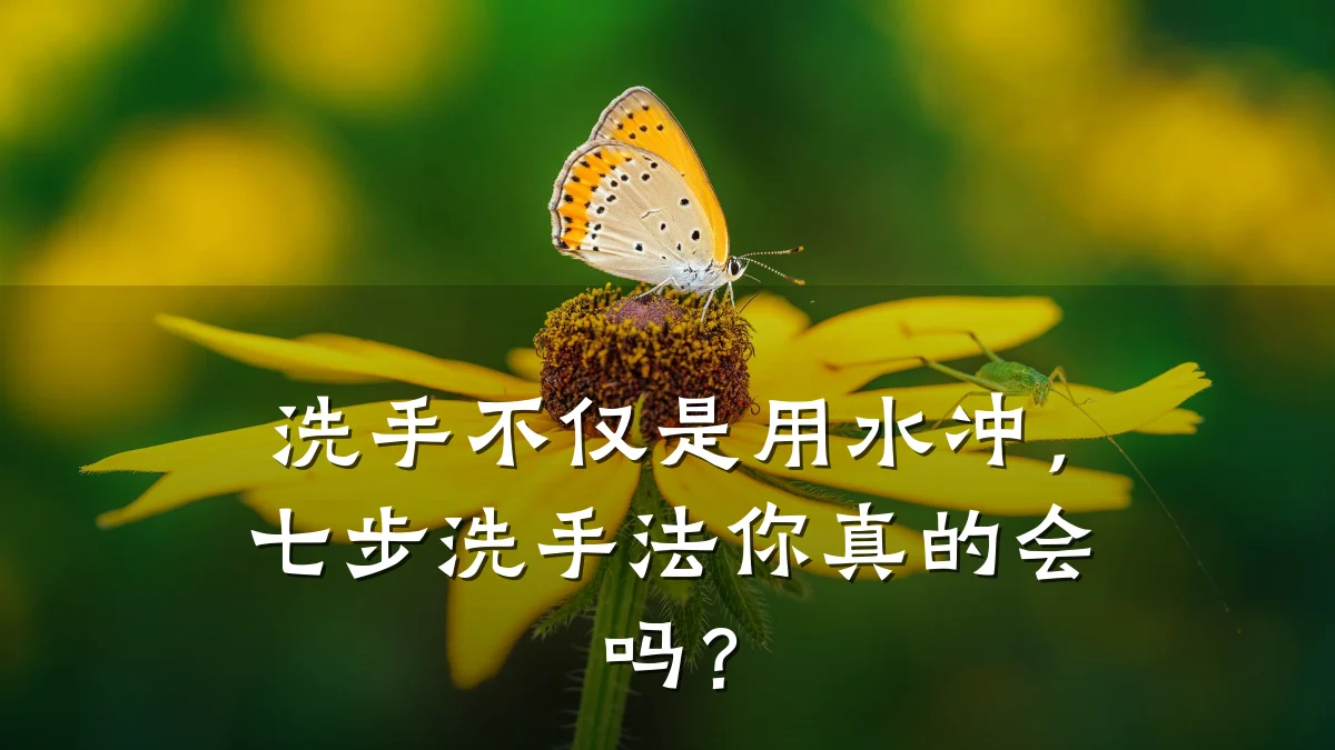 洗手不仅是用水冲,七步洗手法你真的会吗?