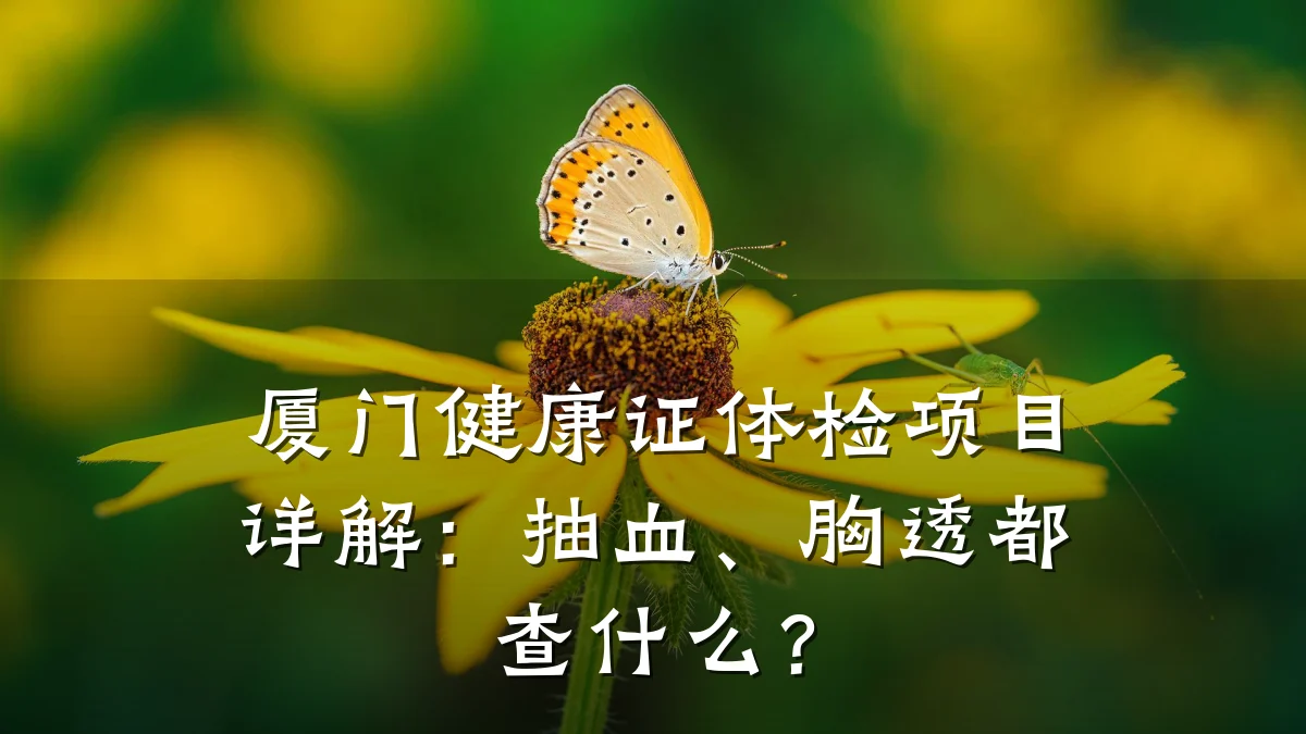 厦门健康证体检项目详解:抽血、胸透都查什么?