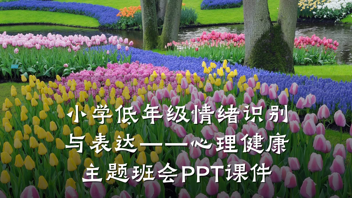小学低年级情绪识别与表达——心理健康主题班会PPT课件