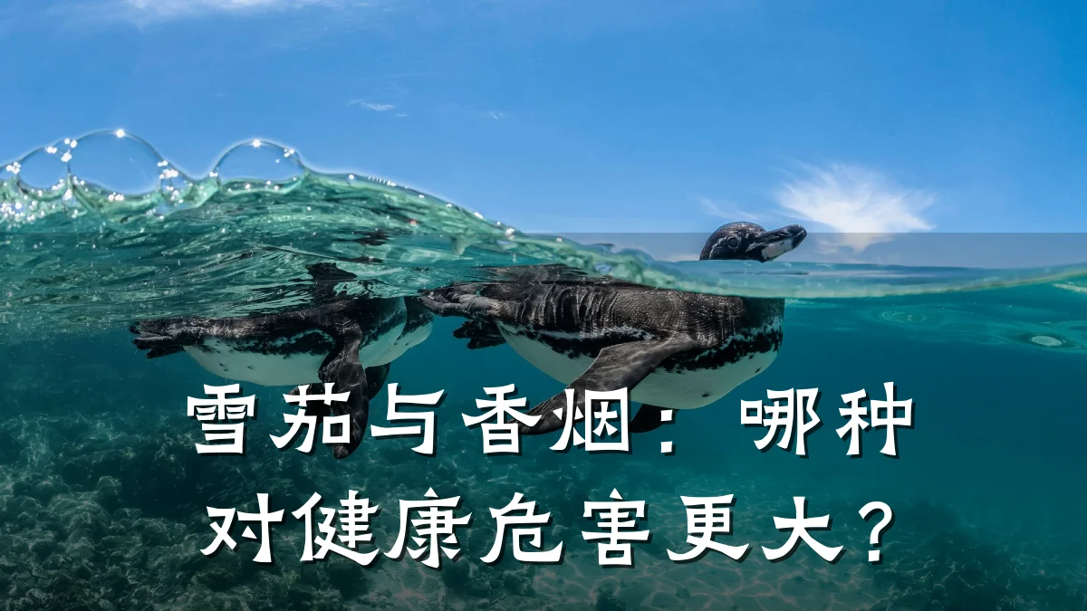 雪茄与香烟:哪种对健康危害更大?