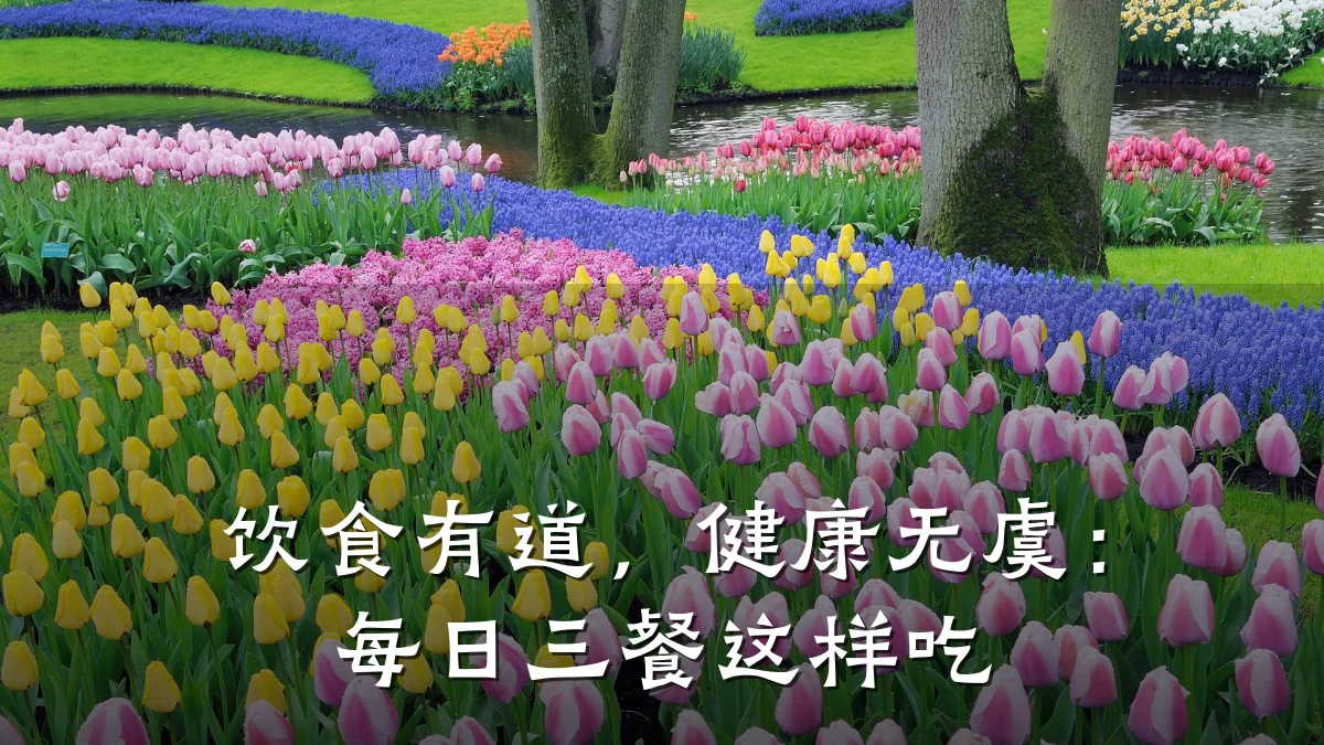 饮食有道,健康无虞:每日三餐这样吃