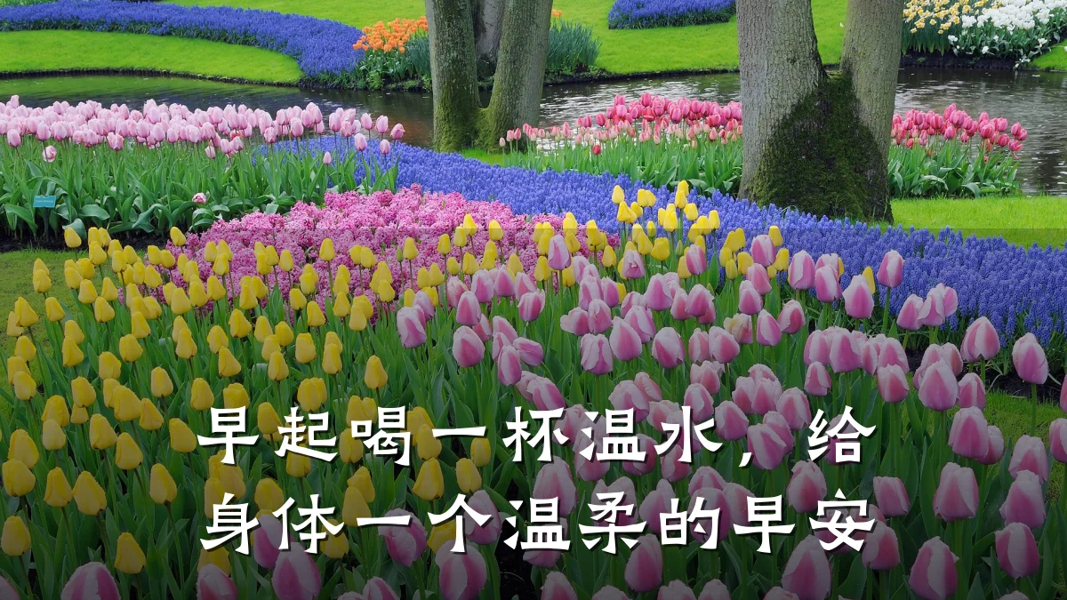 早起喝一杯温水,给身体一个温柔的早安