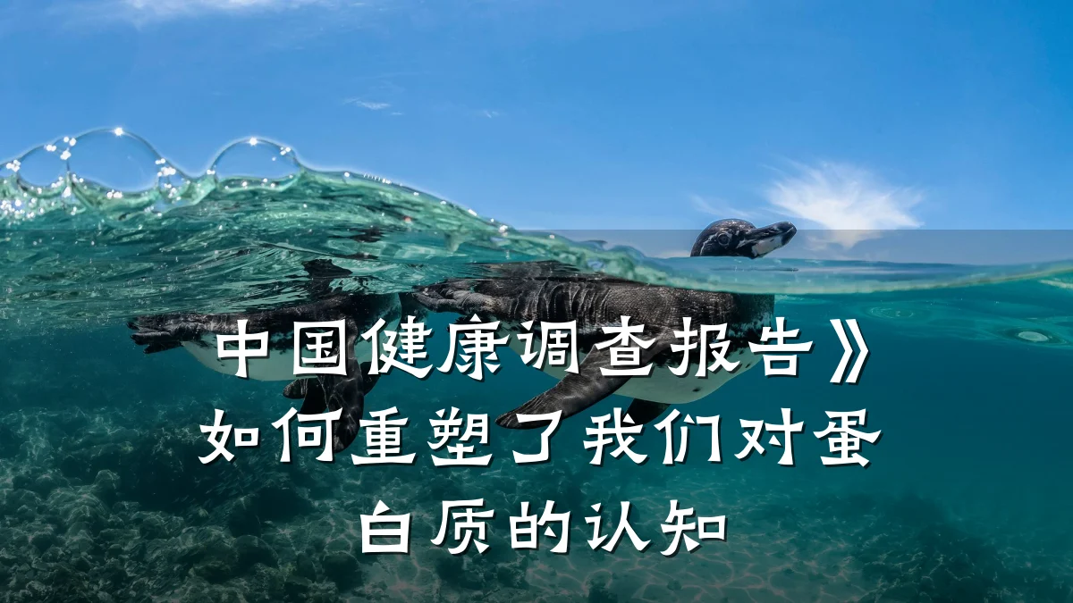 中国健康调查报告》如何重塑了我们对蛋白质的认知