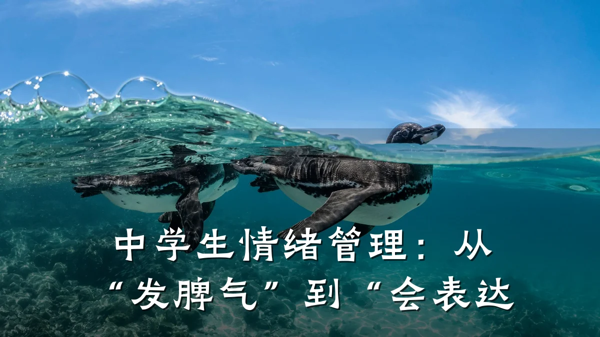 中学生情绪管理:从“发脾气”到“会表达