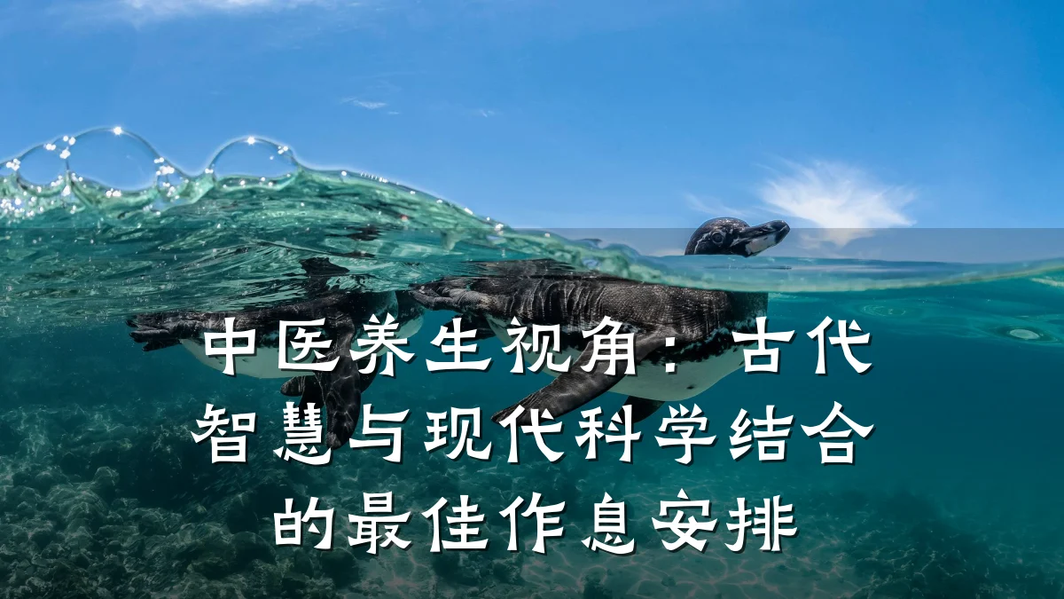 中医养生视角:古代智慧与现代科学结合的最佳作息安排