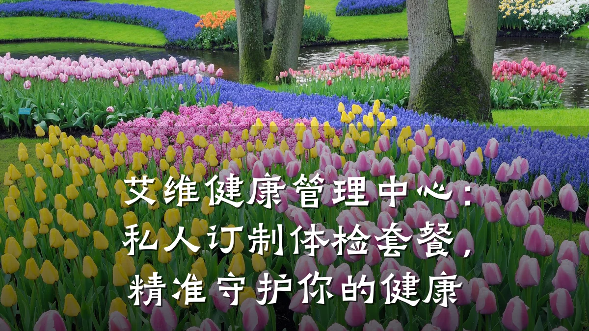 艾维健康管理中心:私人订制体检套餐,精准守护你的健康